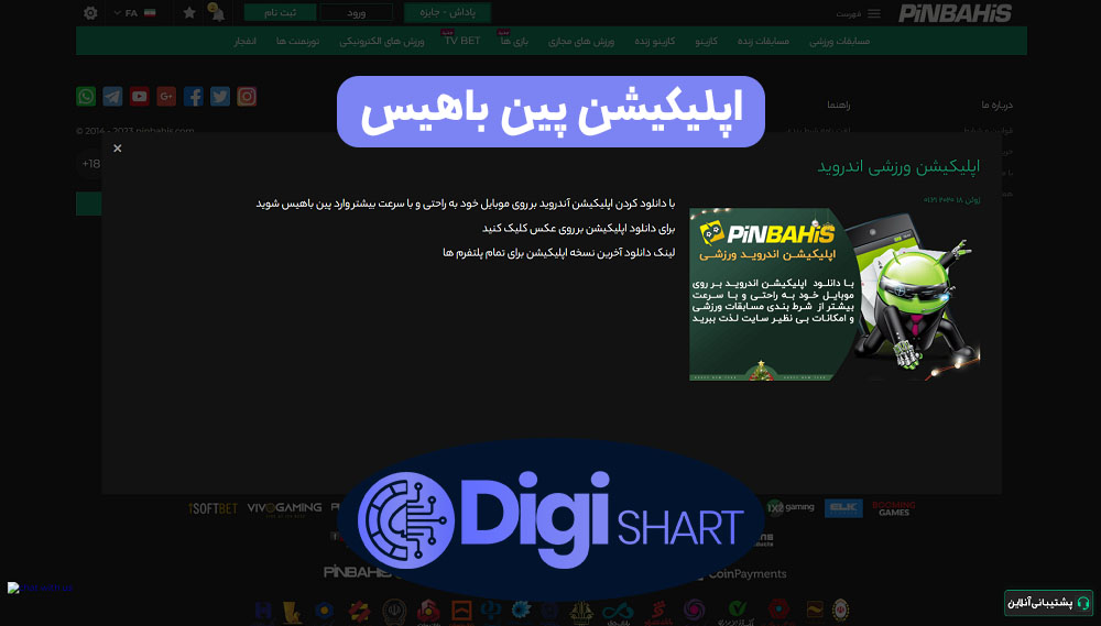 اپلیکیشن پین باهیس