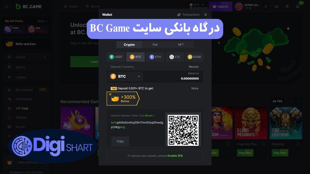 درگاه بانکی سایت BC Game