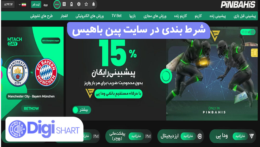 شرط بندی در سایت پین باهیس