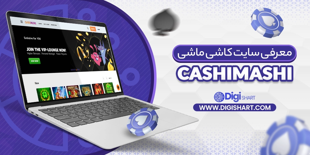 معرفی سایت کاشی ماشی (CashiMashi)