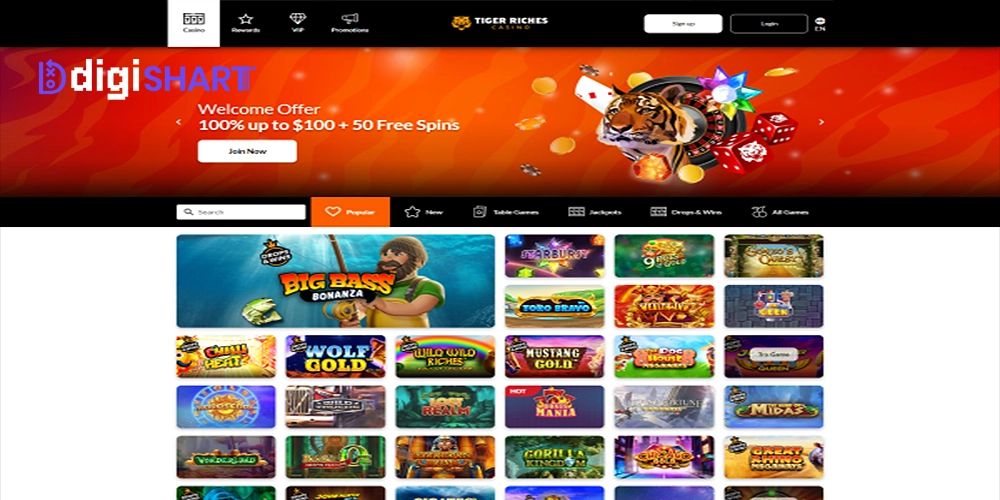 بازی های کازینویی تایگر ریچز Tiger Riches